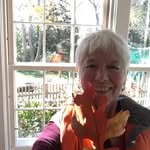 Sharon Rule-Agger - @sharonruleagger - Instagram