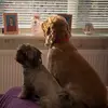 Sharon_rumsey - @sharon_rumsey - TikTok