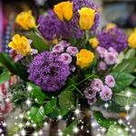 Sharon Rumsey Straway - @straways - Instagram