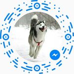 Sharon Runion Zebreski - @sharonrunion - Instagram