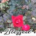 Sharon Runions - Facebook
