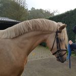 Sharon Rupert - @sharonrupert - Instagram