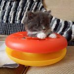 Sharon Ryder - @shazzzy71 - Instagram