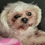 Sharon Kozloff Sabol - @sharonkozloffsabol - Instagram