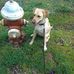 Sharon Sabol - Facebook