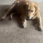 Sharon Sabol Ridgway - @sarrid7 - Instagram