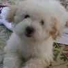 sharonsandstrom - @sharonsandstrom - TikTok