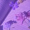 Sharon Santamaria - @sharon.santamaria4 - TikTok