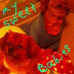 Sharon Satterfield - @sharon.satterfield.906 - Instagram