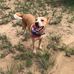 Sharon Schaaf - Facebook