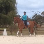 Sharon Schaafsma - @sharon_schaafsma - Instagram