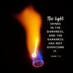 Sharon Schaefer - @sschae729 - Instagram
