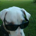Sharon Schaefer - @sharon.schaefer.5 - Instagram