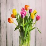 sharon schaefer - @sharon.schaeferr - Instagram