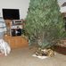 Sharon Voss Schley - Facebook