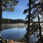 Sharon Schott - @schott8026 - Instagram