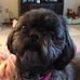 Sharon Schott - Facebook