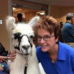 Sharon Schott - @sharon.schott.90 - Instagram