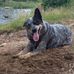 Sharon Schrag - Facebook