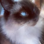 Sharon Schroder - @sharonschroder3 - Instagram