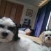 Sharon Schroth - Facebook