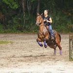 Sharon Lupucy Schwab - @saspower1 - Instagram