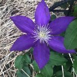 Sharon Scudder - @oma_to_9 - Instagram