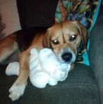Sharon Scurlock - Facebook