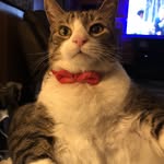 Sharon Seal - @sharonseal42 - Instagram
