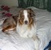 Sharon Seguin - Facebook