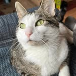 Sharon Seguin-Visintainer - @sharbear_1955 - Instagram