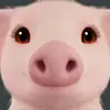 sharon elizabeth - @sharonsiedel - TikTok