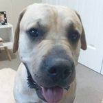 Sharon Seidel - @sharonnseidel - Instagram