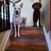 Sharon Seidel - Facebook