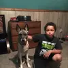 ninja_god09 - @sharonsetter - TikTok