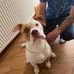 Sharon Sellars - Facebook