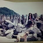 Sharon Sessions - @sessions_sharon - Instagram