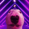 sharonmsessions - @sharonmsessions - TikTok