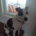 Sharon Severance - Facebook
