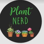 Sharon Crawford Sewell - @sharonsewell - Instagram