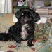 Sharon Sewell - Facebook