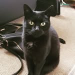 sharon sewell - @shazzysewell - Instagram