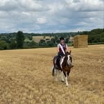 Sharon Sexton - @my_horse_adventures77_ - Instagram