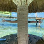 Sharon Sexton - @sbs13 - Instagram