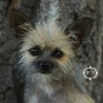 Sharon Sexton - @sharon.sexton.393 - Instagram