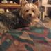 Sharon Shank - Facebook
