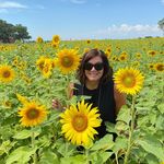 Sharon Kahn Shapiro - @sharshap1216 - Instagram