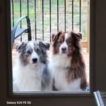 Sharon Shear - @sshear5326 - Instagram