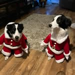 Sharon Sherlock - @sharonjonessherlock - Instagram