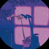 ladybug 333 - @sharonsherrod02 - TikTok